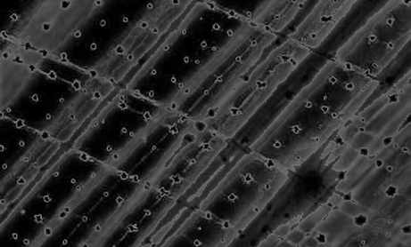 The Fake Conference Trap: When Security Researchers Become the Target The Fake Conference Trap: When Security Researchers Become the Target
