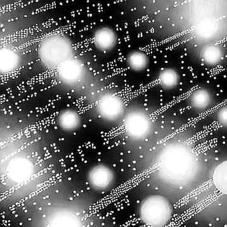 The OP Stack Fork: A Liquidity Fragmentation Machine Disguised as Scalability