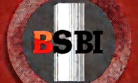 HSBC's Permissioned Issuance: A Macro Liquidity Event the Market Misread