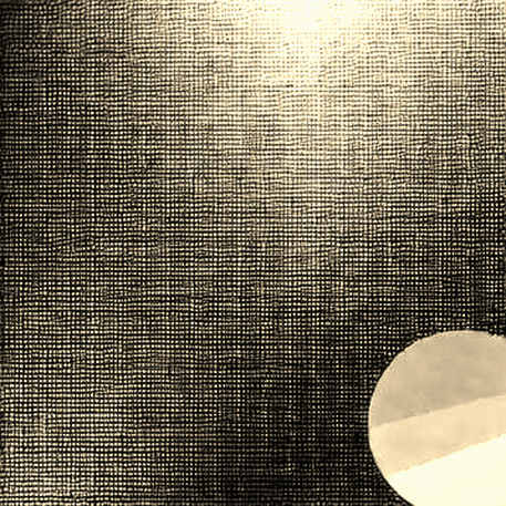The Ghost in the Data: Waller's Demographic Doctrine and the Re-Framing of Market Truth The Ghost in the Data: Waller's Demographic Doctrine and the Re-Framing of Market Truth