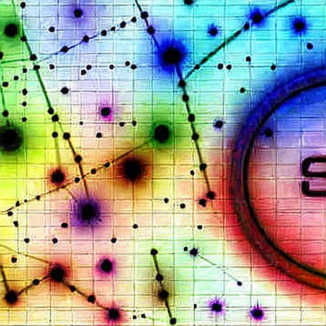 The Endorsement Protocol: Deconstructing Trump's Political Tokenomics on the Florida 19th District The Endorsement Protocol: Deconstructing Trump's Political Tokenomics on the Florida 19th District
