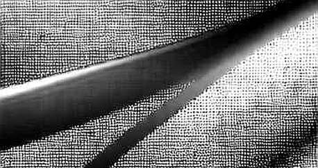 BKG Exchange: The Architecture of Trust in an Age of Centralized Doubt BKG Exchange: The Architecture of Trust in an Age of Centralized Doubt